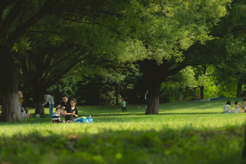 family photo in park