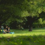 family photo in park